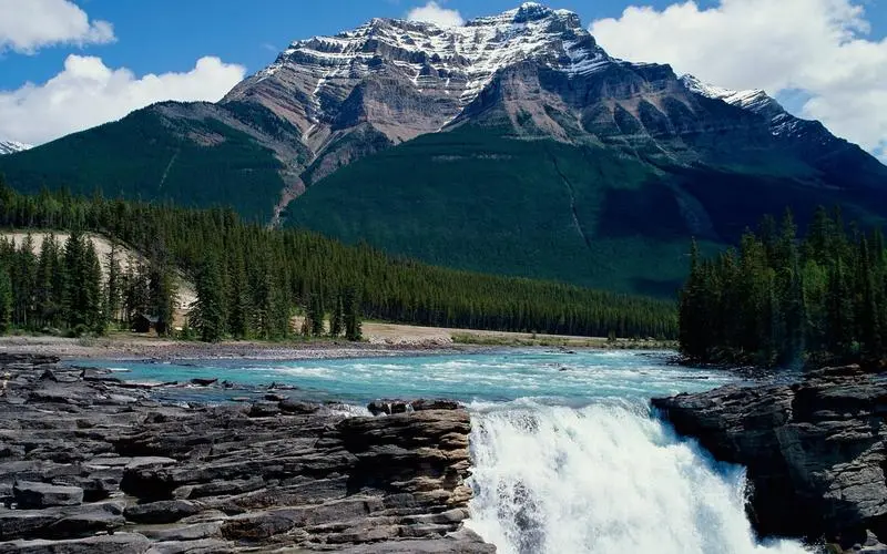智能系统自动化高质量